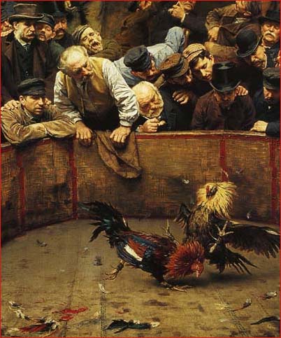 combat de coqs - 1889